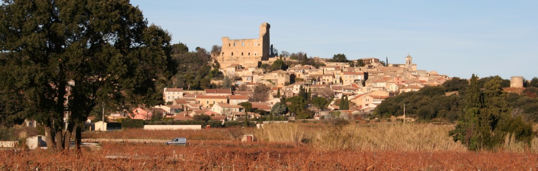Châteauneuf du Pape in winter