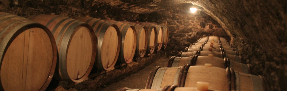 Magical underground cellar